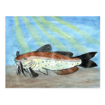 Illustration de gain par S. Carter, catégorie 6 Cartes Postales