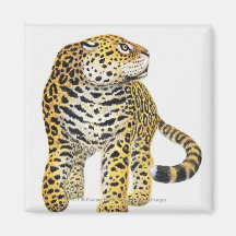 Illustration de Jaguar avec la tête dans le profil Aimant Pour Réfrigérateur