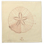 Illustration de plage du dollar de sable serviettes