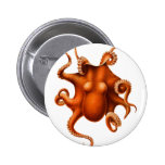Illustration de poulpe badges avec agrafe