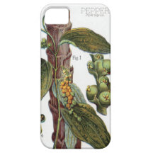 Illustration d'une usine de poivre coque iPhone 5 Case-Mate