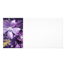 Illustration pourpre de fleur cartes de vœux avec photo