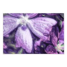 Illustration pourpre de fleur photos sur toile