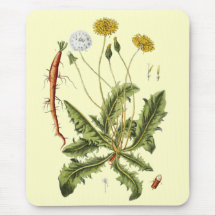 Illustration vintage de pissenlit tapis de souris