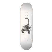 Illustration vintage de scorpion de 1800s - scorpi skateboards customisés