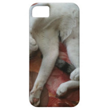 IM PARESSEUX JE NE M'INQUIÈTE PAS COQUE iPhone 5 Case-Mate