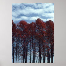 Image d'arbres de Sourwood Affiche