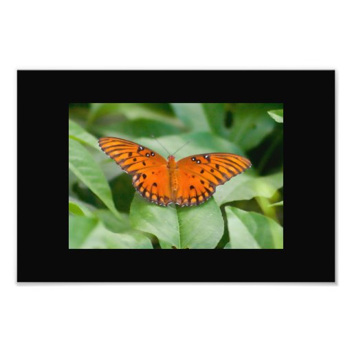 Image d'art de mur de plaisir d'été photographie