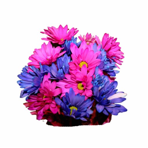 image_de_bouquet_de_fleur_de_marguerite_rose_et_bl_sculpture_photo-rd9687c47deff4f67900d3c662152fef2_x7saw_8byvr_512.jpg
