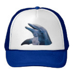 Image de dauphin casquette