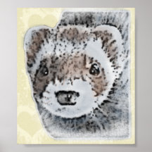 Image de furet de sable affiche