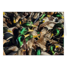 Image des canards dans une foule carte de vœux
