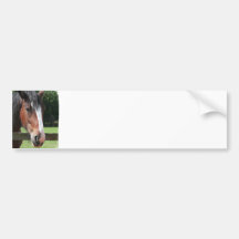Image d'un adhésif pour pare-chocs quart de cheval autocollants pour voiture