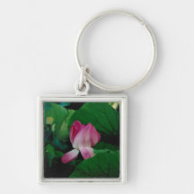 Image Keychain de fleur de Nymphaea Porte-clés