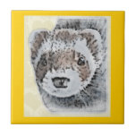 Image mignonne de furet carreau