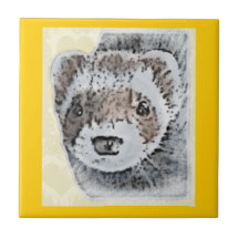 Image mignonne de furet carreau