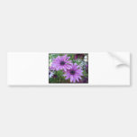 Image pourpre de fleurs ! autocollants pour voiture
