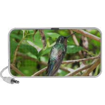 Image tropicale de colibri haut-parleur iPod