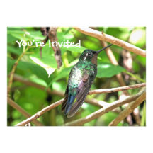 Image tropicale de colibri invitations