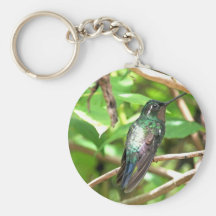 Image tropicale de colibri porte-clef
