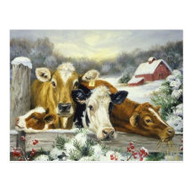 Image vintage de vache cartes postales