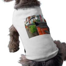 Images anglaises de campagne (3) vêtement pour chien