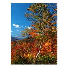 Images d'automne cartes postales