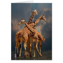 IMAGINAIRE DE GIRAFFIC CARTE
