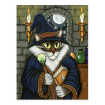 Imaginaire magique de sorcier de chat de magicien  carte postale