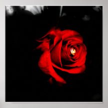 IMG_0365ROSE POSTERS