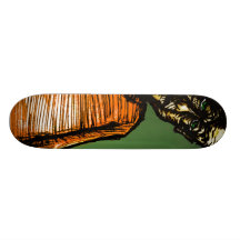 impact à faible bruit planches à roulettes customisées