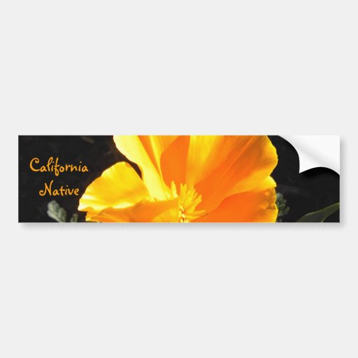Indigène de la Californie Autocollants Pour Voiture