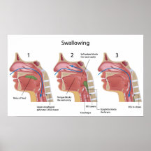 Ingestion de l'affiche de processus