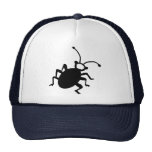 Insecte Casquettes