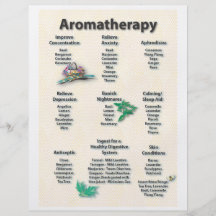 Insecte de diagramme d'aromathérapie modelé par ja prospectus personnalisés