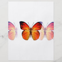 Insecte de papillon prospectus avec motif