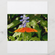 Insecte de papillons prospectus en couleur