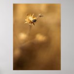 Insecte décousu d'Itty Affiches
