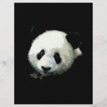 Insecte d'ours panda prospectus