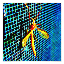 Insecte sur un écran photo sur toile