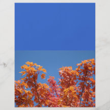 Insectes de ciel bleu expédiant le feuille d'autom prospectus en couleur