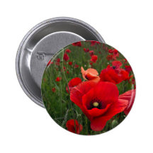 Insigne de bouton de champ de pavot pin's