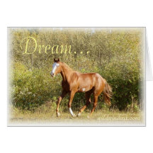 Inspiration courante douce de rêve de pouliche cartes de vœux
