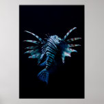 Inspiration Affiche