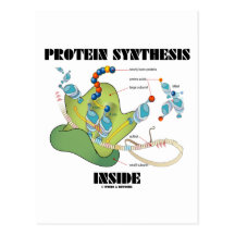Intérieur de synthèse de protéine (biologie cellul carte postale