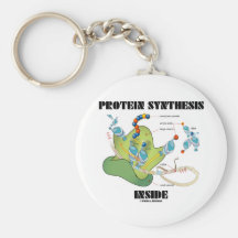Intérieur de synthèse de protéine (biologie cellul porte-clefs
