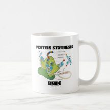 Intérieur de synthèse de protéine (biologie cellul tasse à café