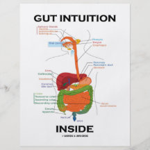 Intérieur d'intuition d'intestin (humour d'apparei prospectus