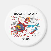 Intérieur distrait de nerfs (synapse) aimants