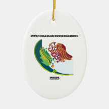 Intérieur faisant le ménage intracellulaire (Endom Décorations Pour Sapins De Noël